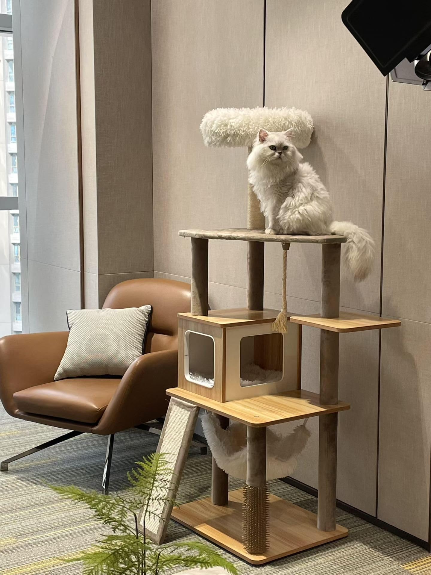 Purrlato 61 eco-friendly materials blend wood tones with safe fabrics.