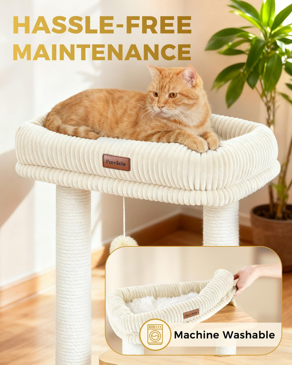 Purrlato cama-acogedora, toque suave para siestas tranquilas.