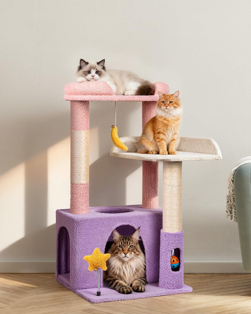 Purrlato self-grooming brush helps with quick coat maintenance during play.