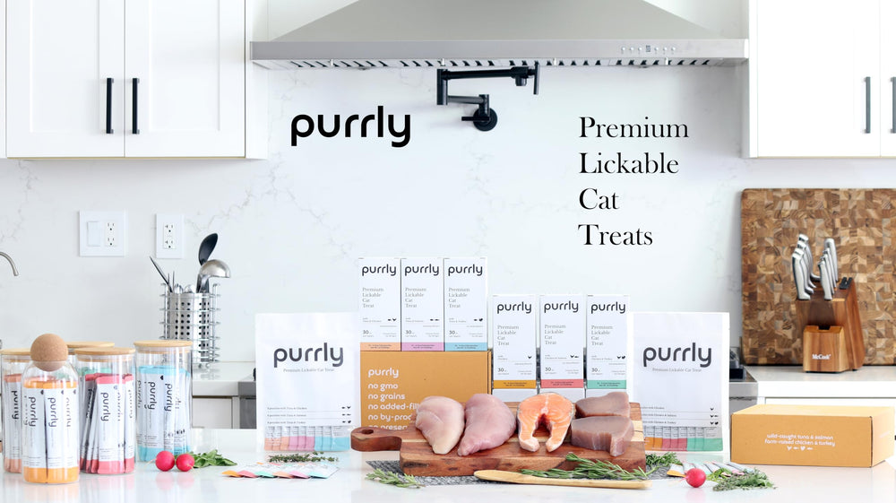 Purrly grain-free-recipe-pouch highlights nutrition without grains.