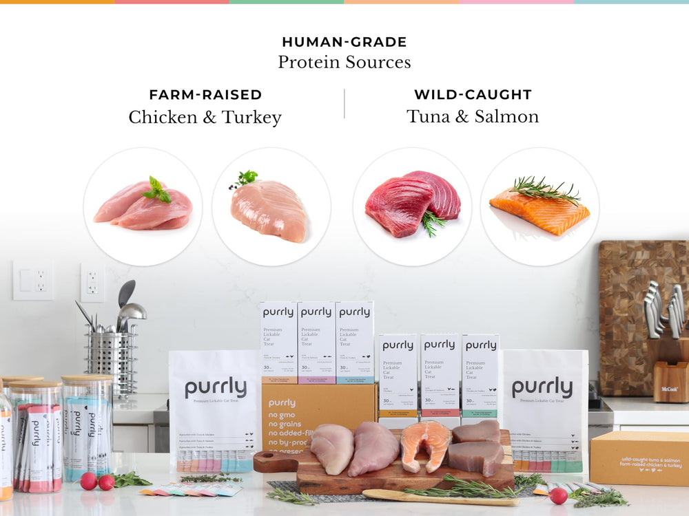 Purrly human-grade-protein-closeup highlights superior quality protein source.