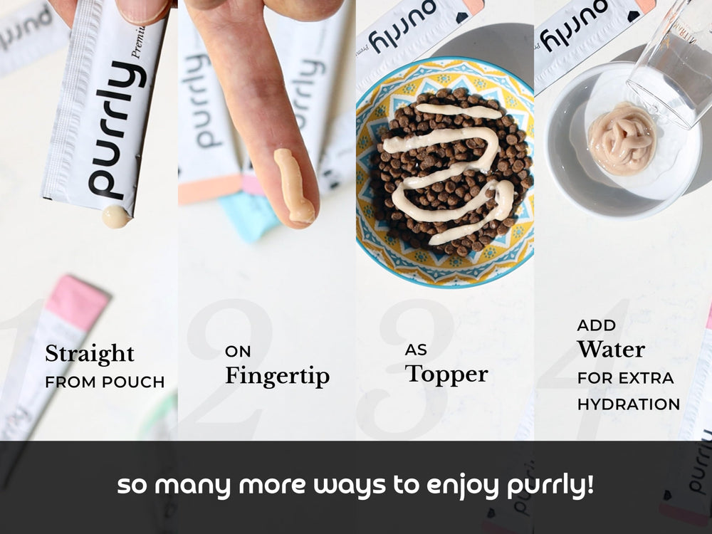 Purrly interactive-lickable-puree invites bonding during cuddle-time.