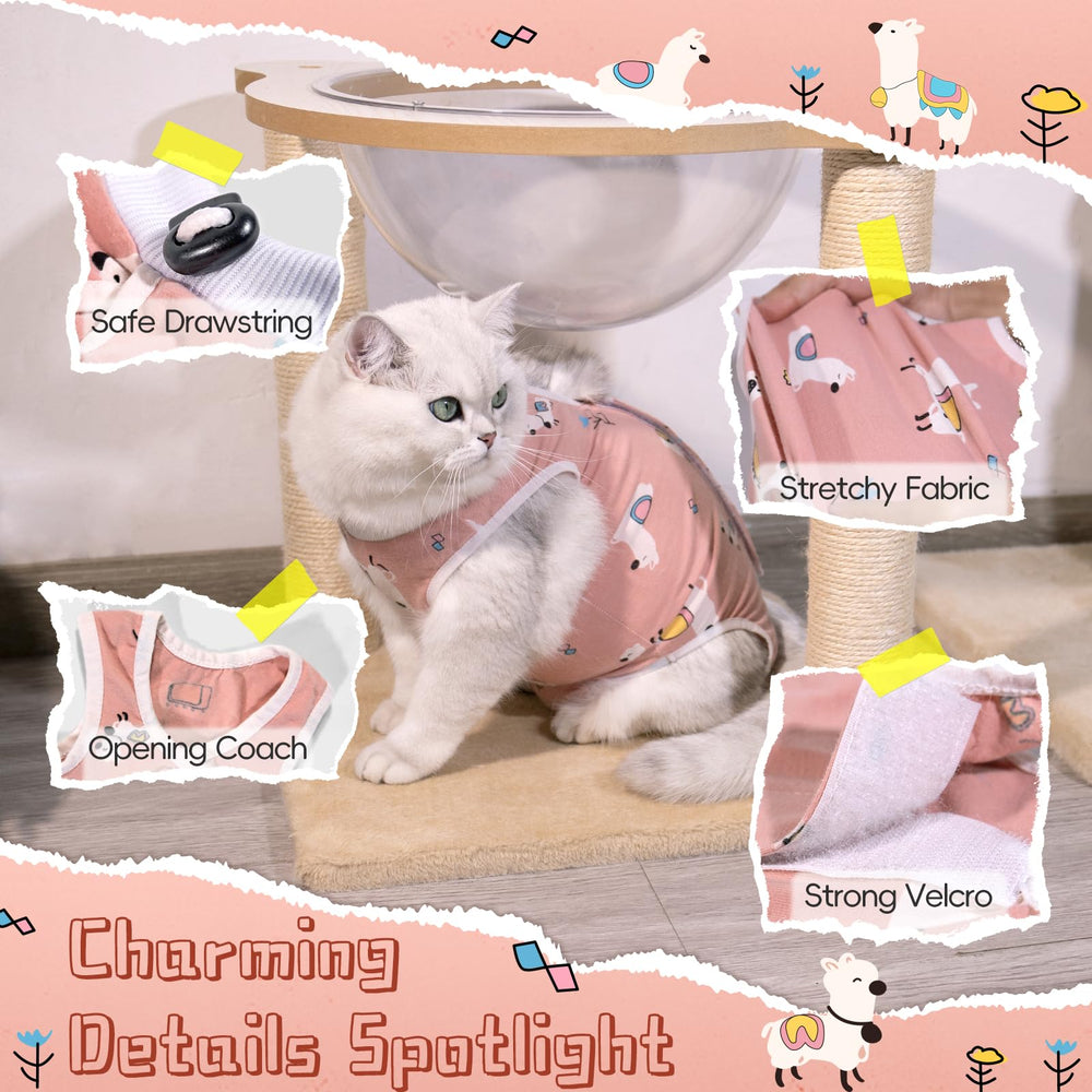 Purrpurrpets spay recovery suit kitten surgery scenario with fit flexibility.