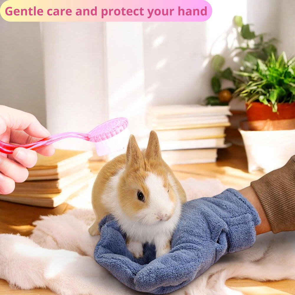 PurrrfectionPet bonding session with hamster showing calm grooming interaction.