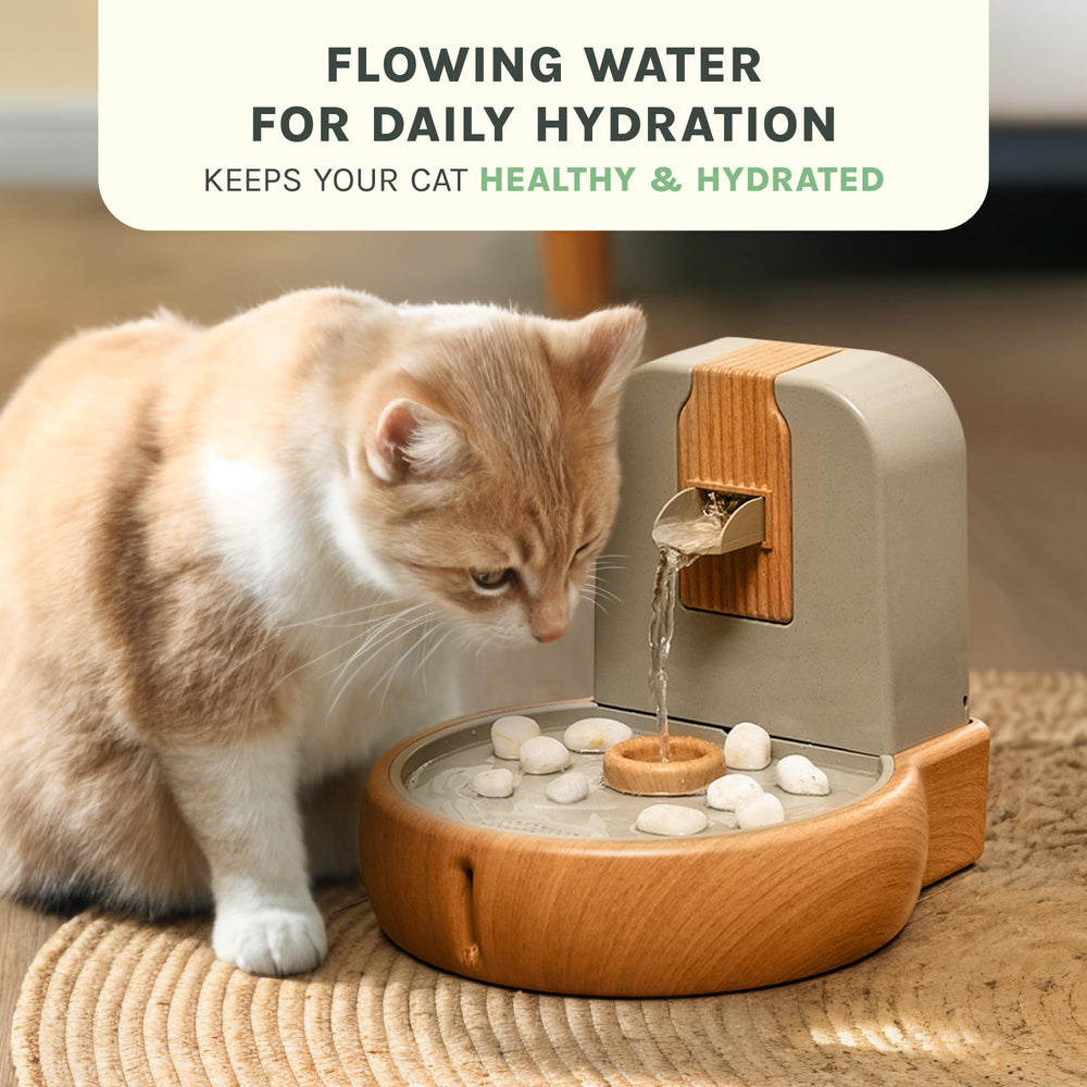 PURRVANA Cat Water Fountain lifetime warranty signals lasting durability.