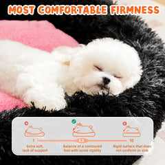 Purrzone calming cat bed warming-pocket highlights gentle warmth for relaxed evenings.