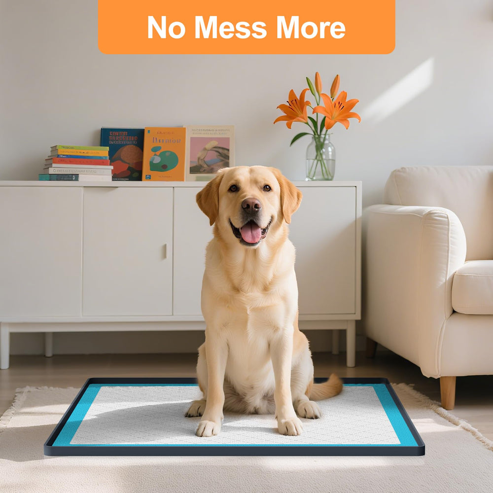 PUWANJILI pet-safe silicone ensures everyday protection.