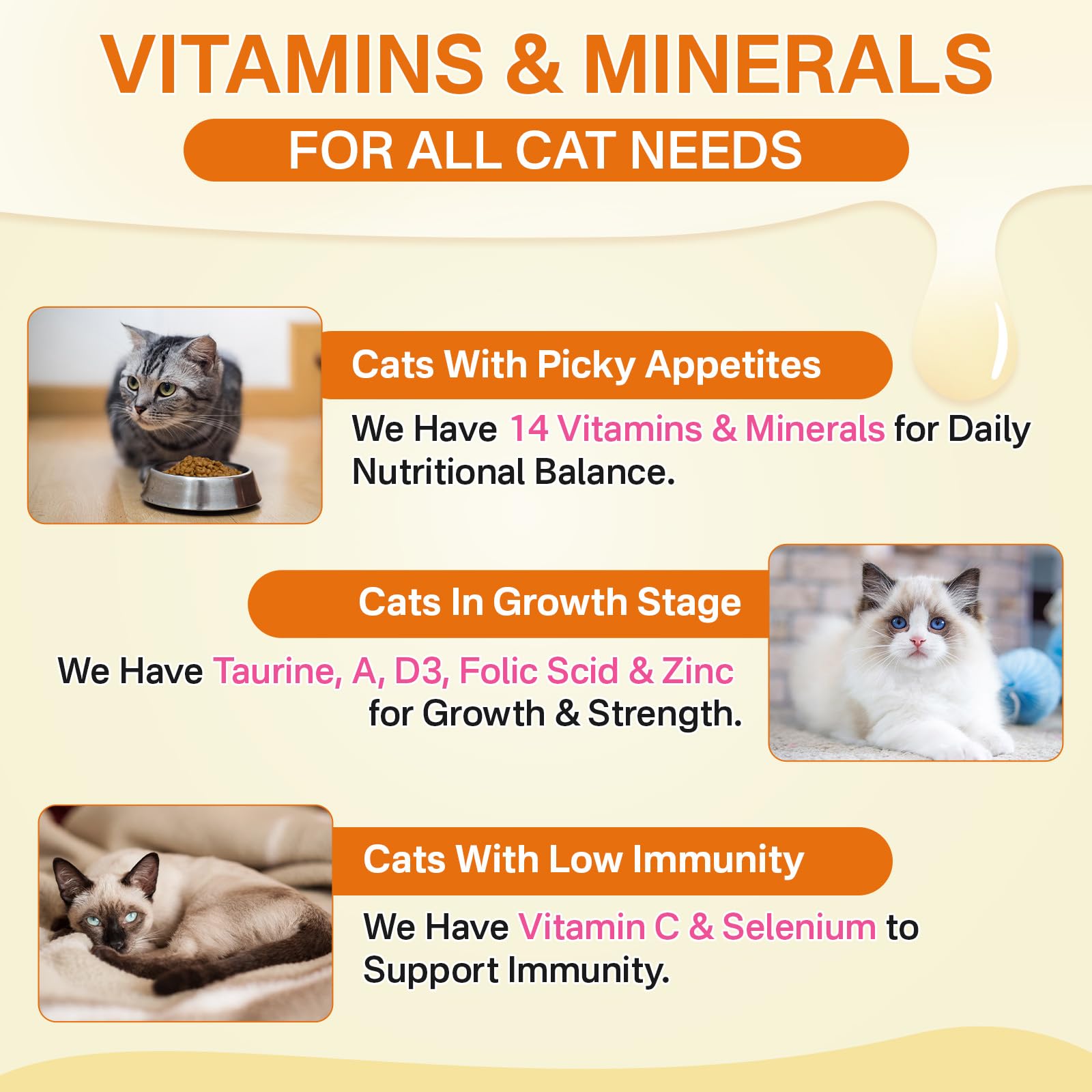 Puyrzoe Cat Multivitamin suitable for kittens and adults, supporting daily wellness.