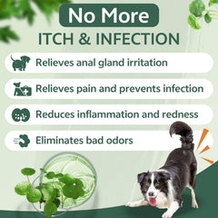 Puyrzoe dog anal gland spray application area demonstrates targeted relief and easy use.