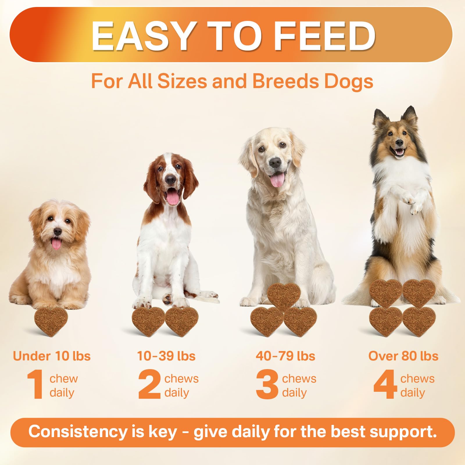 Puyrzoe five-in-one dog bottle packaging showing convenience