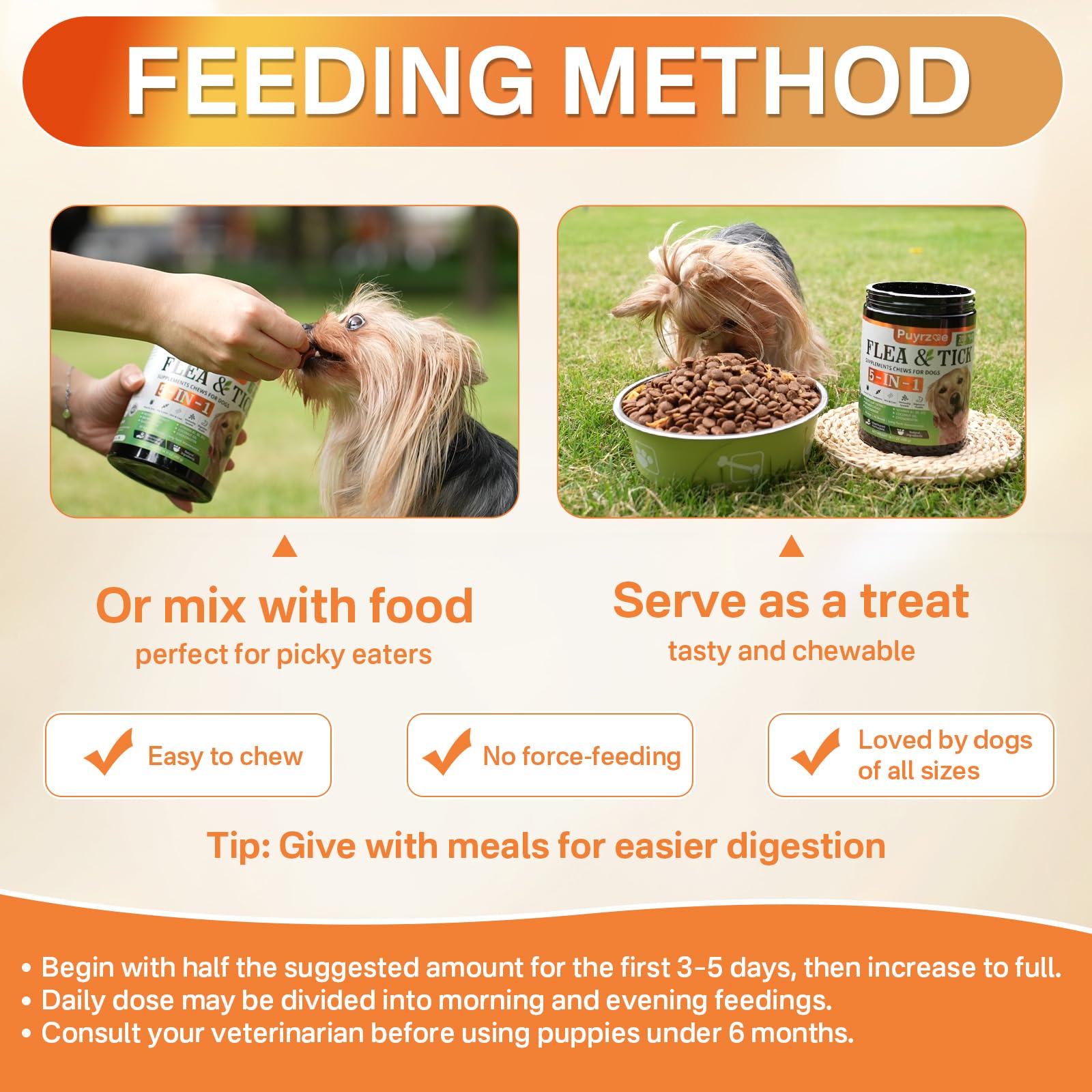 Puyrzoe five-in-one dog outdoors active use scenario