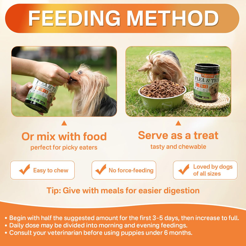 Puyrzoe five-in-one dog outdoors active use scenario