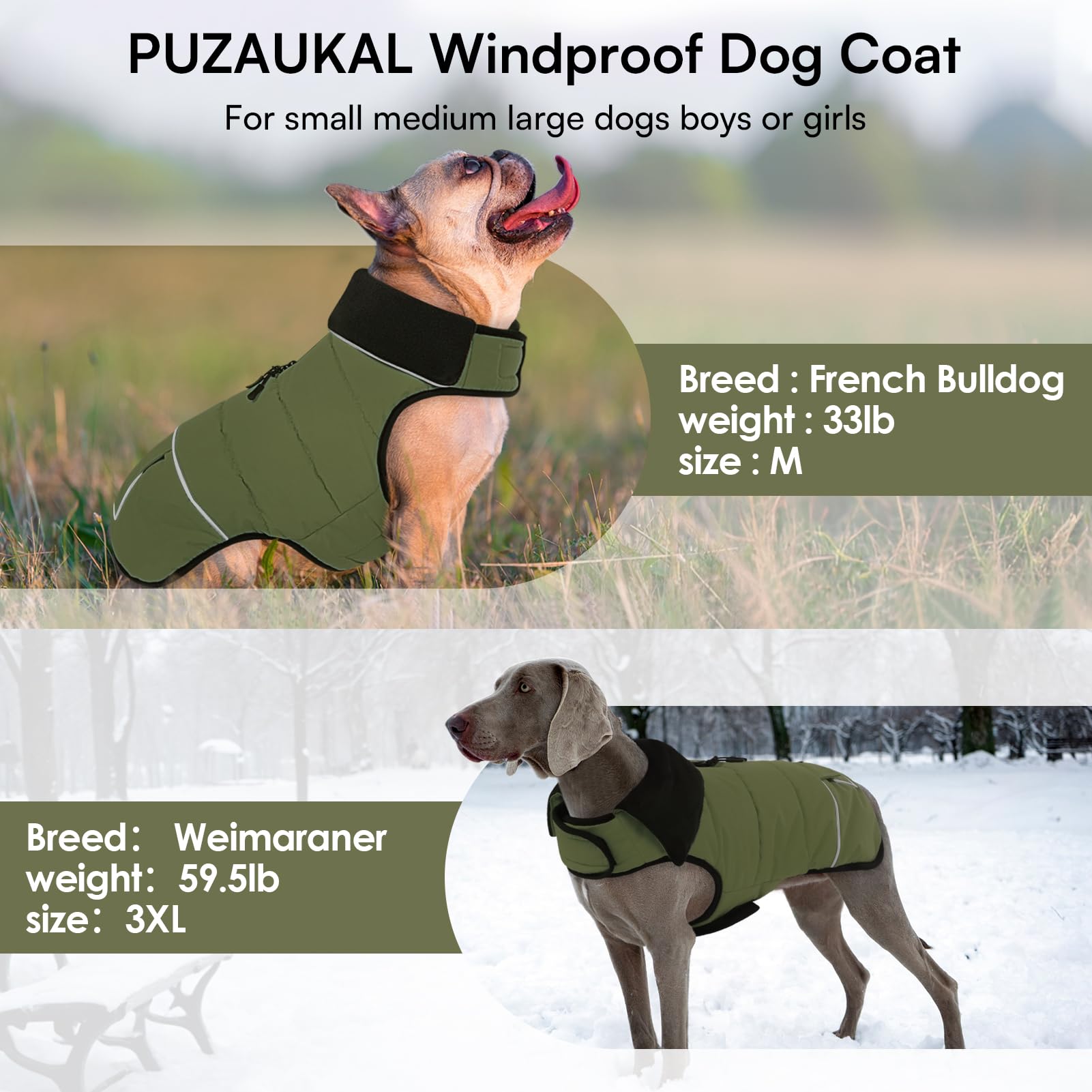PUZAUKAL dog coat blue 2XL city-style ready for urban outings.
