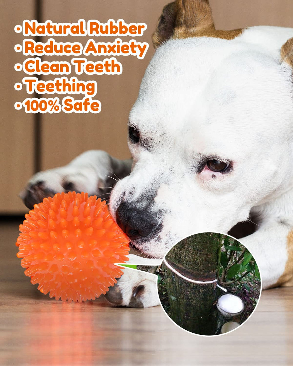 Pweituoet dental-spike-ball toy with textured spikes for chewing and mouth engagement.