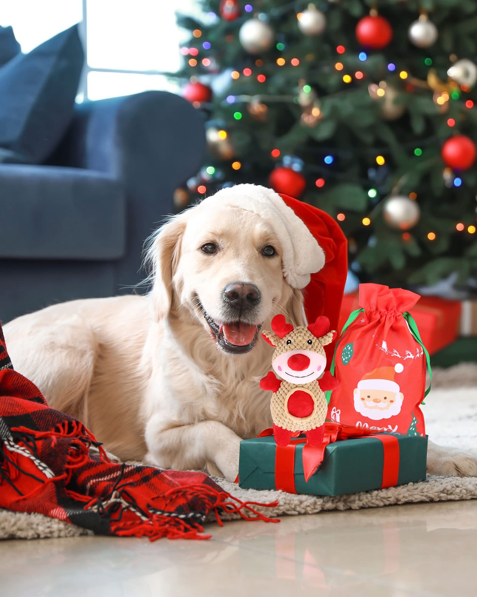Pweituoet safe, durable materials suitable for small and medium dogs.