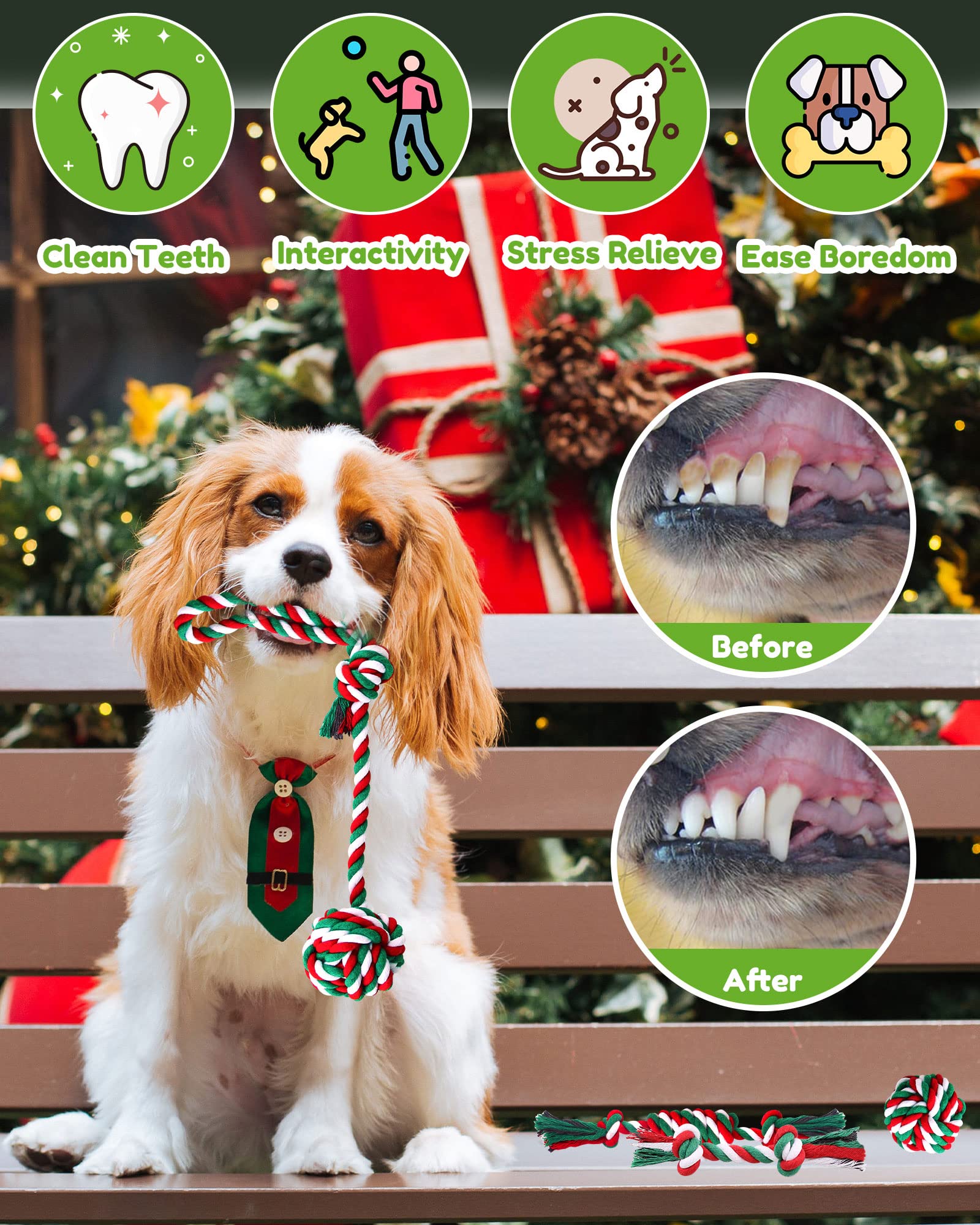 Pweituoet rope toys may massage gums during play.