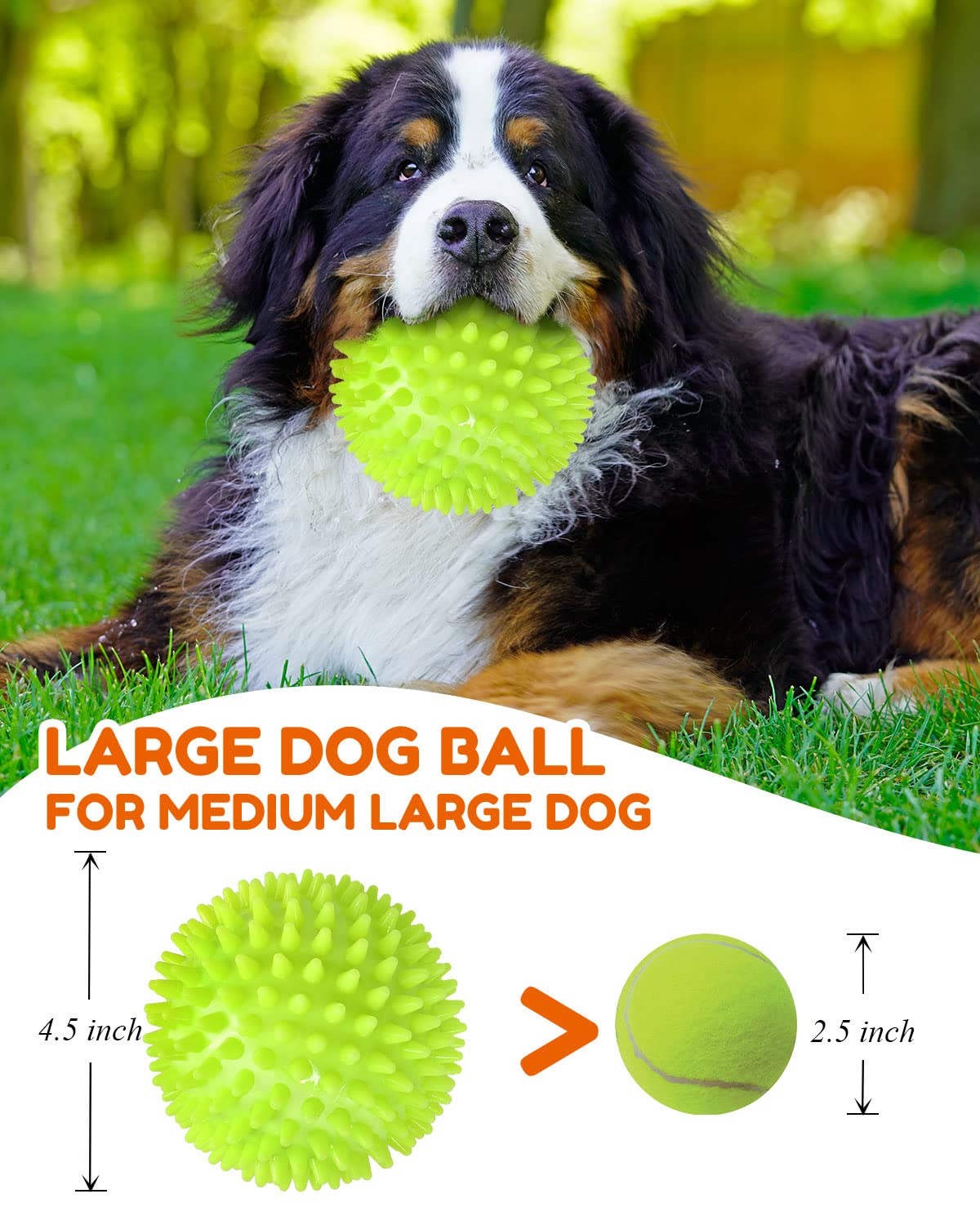 Pweituoet spike-ball dog toy for aggressive chewers and durable play sessions.