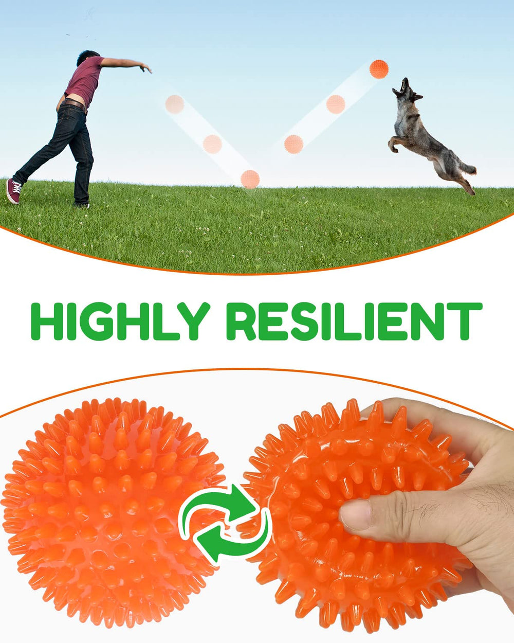 Pweituoet two-pack dog ball set offering value and versatile play options.