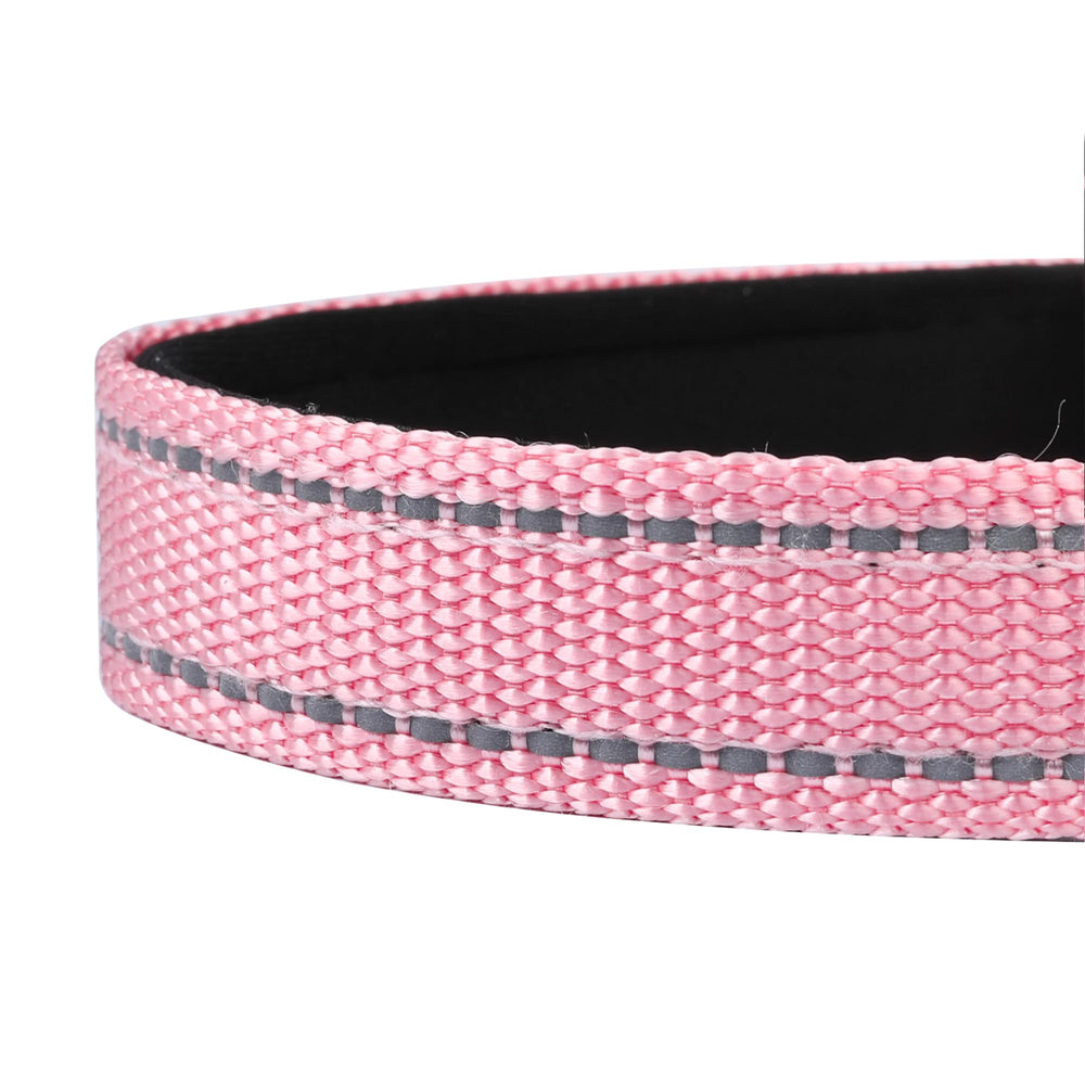 PWOD 14 colors and 5 sizes help you pick the perfect collar