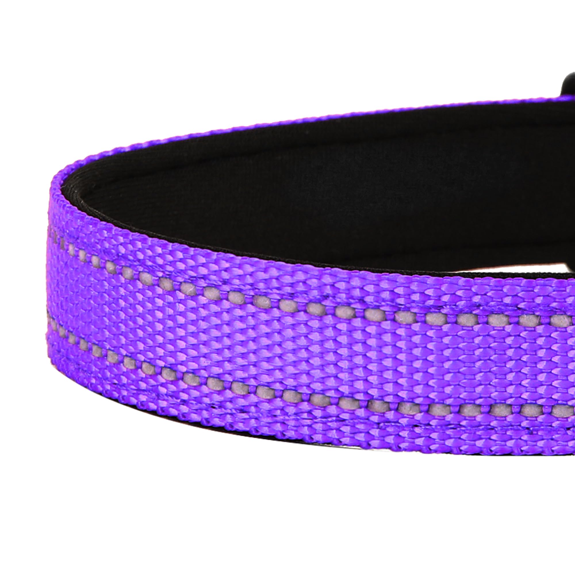 PWOD adjustable neck collar ensures a snug fit for small dogs