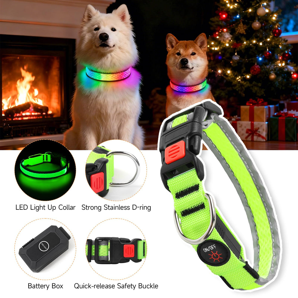 PWOD LED Dog Collar shown during night walk improving safety.