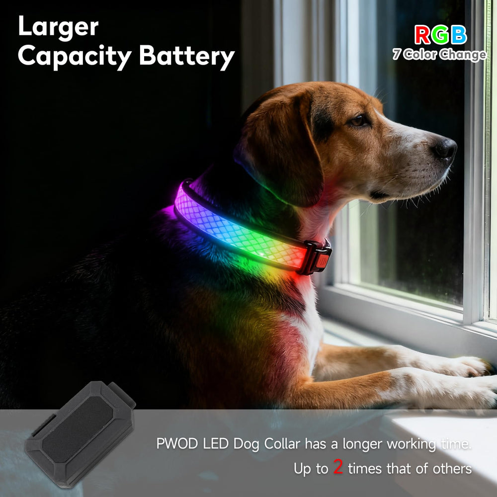 PWOD LED Dog Collar USB-C rechargeable for easy power on the go.