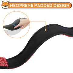 PWOD reflective dog collar at night demonstrates enhanced visibility for walks