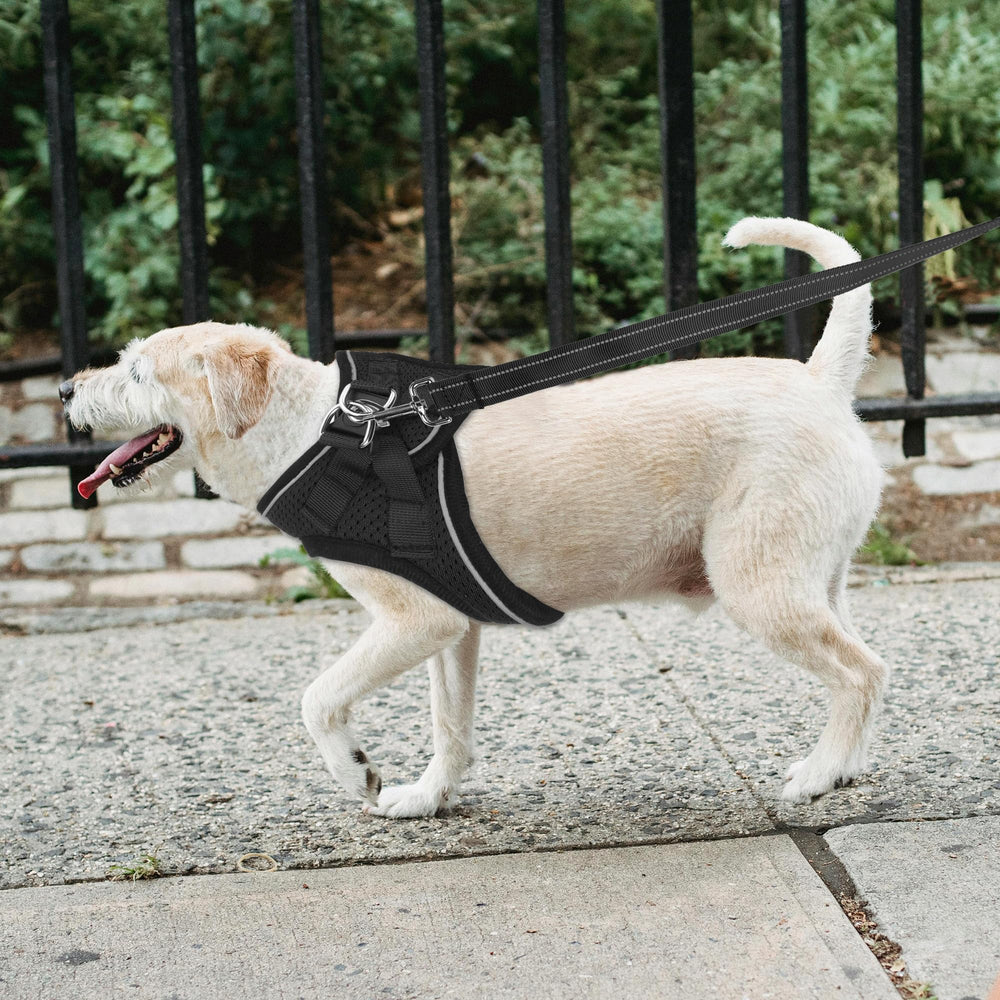 PWOD night visibility with reflective stitching enhances safety after dark