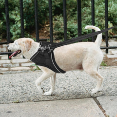 PWOD night visibility with reflective stitching enhances safety after dark