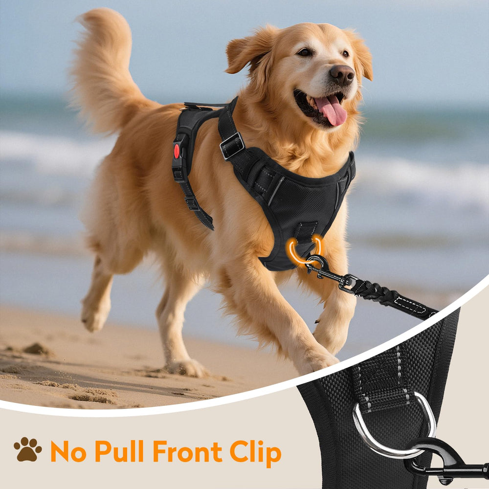 PWOD No Pull Harness adjustable straps ensure snug fit with growth room.