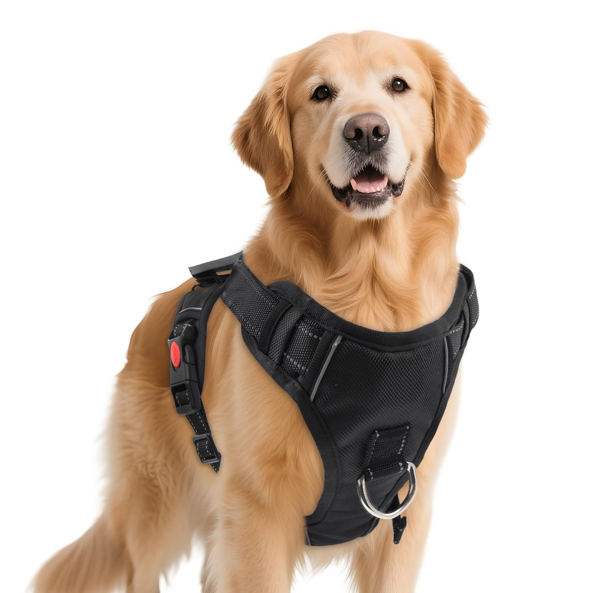 PWOD No Pull Harness front view with reflective safety strips for safer night walks.