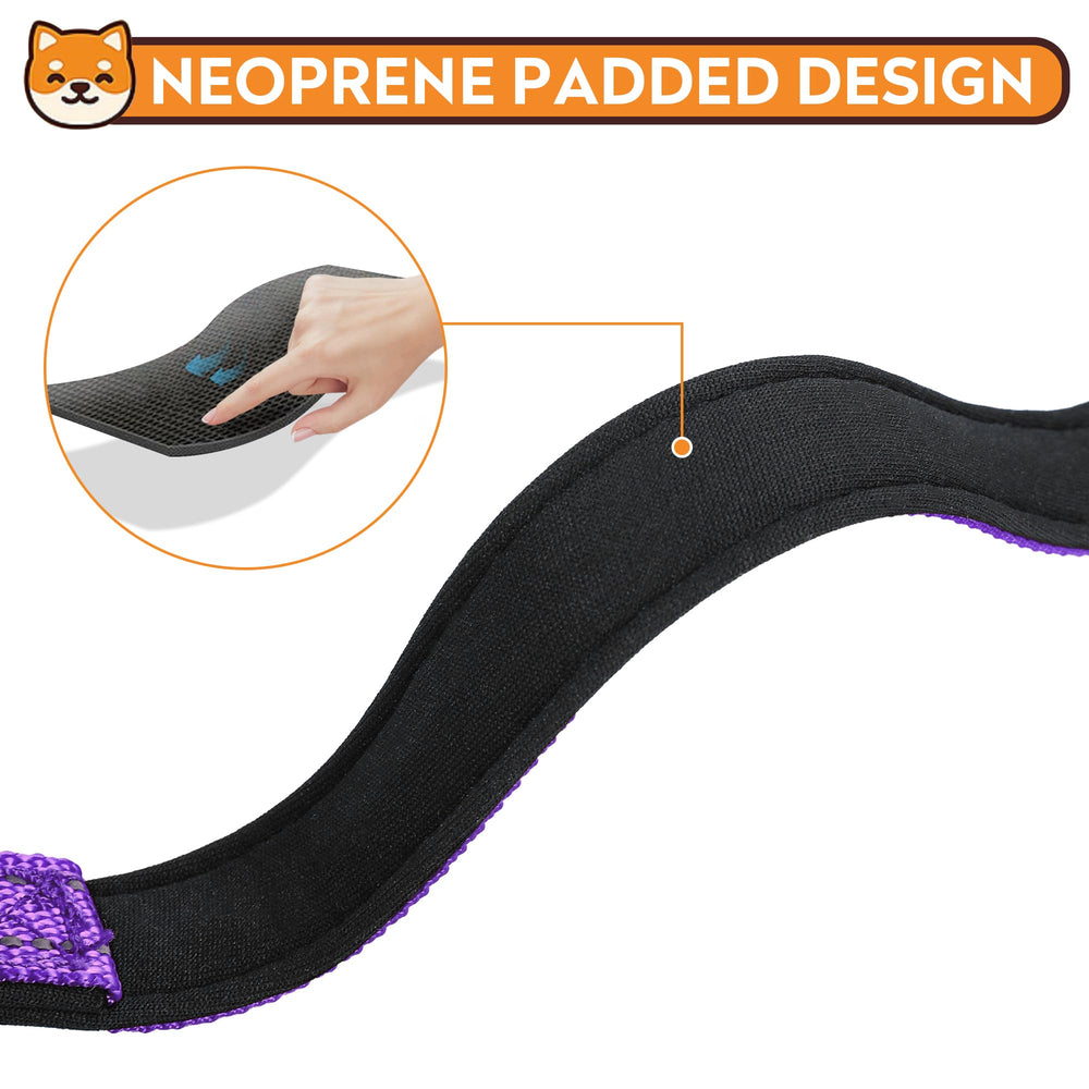 PWOD quick-release ABS buckle collar for easy on/off trips