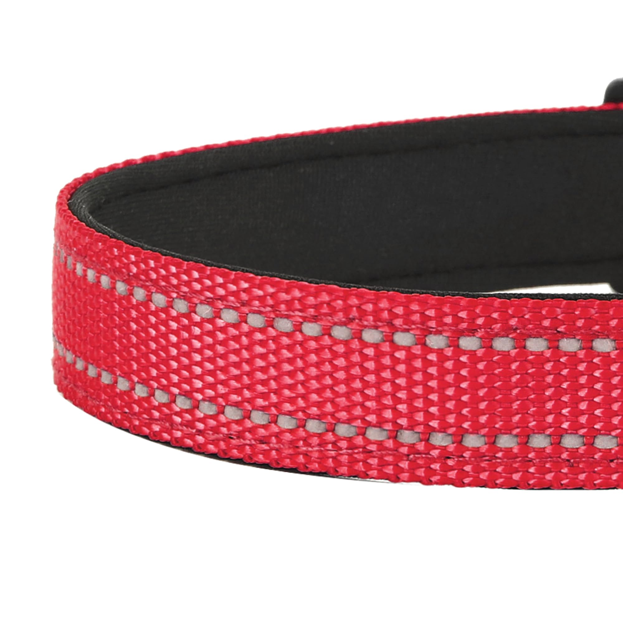PWOD reflective dog collar available in 14 colors for style variety.