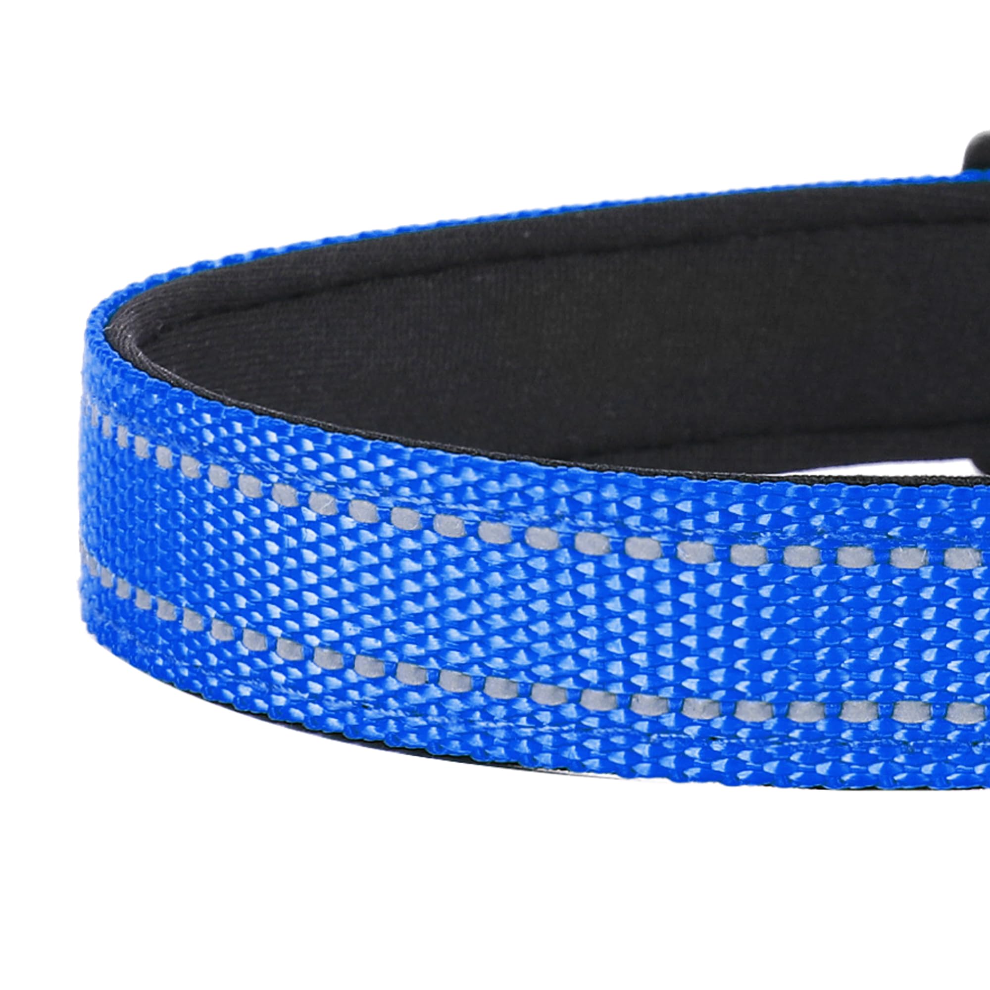 PWOD collar shows separate loop for tags and leashes