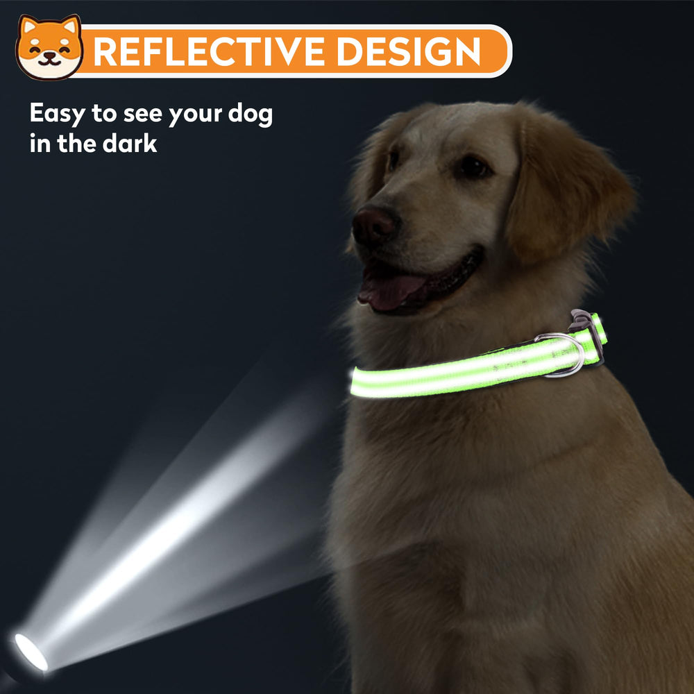 PWOD reflective dog collar green loop for tags and leashes highlighting added utility