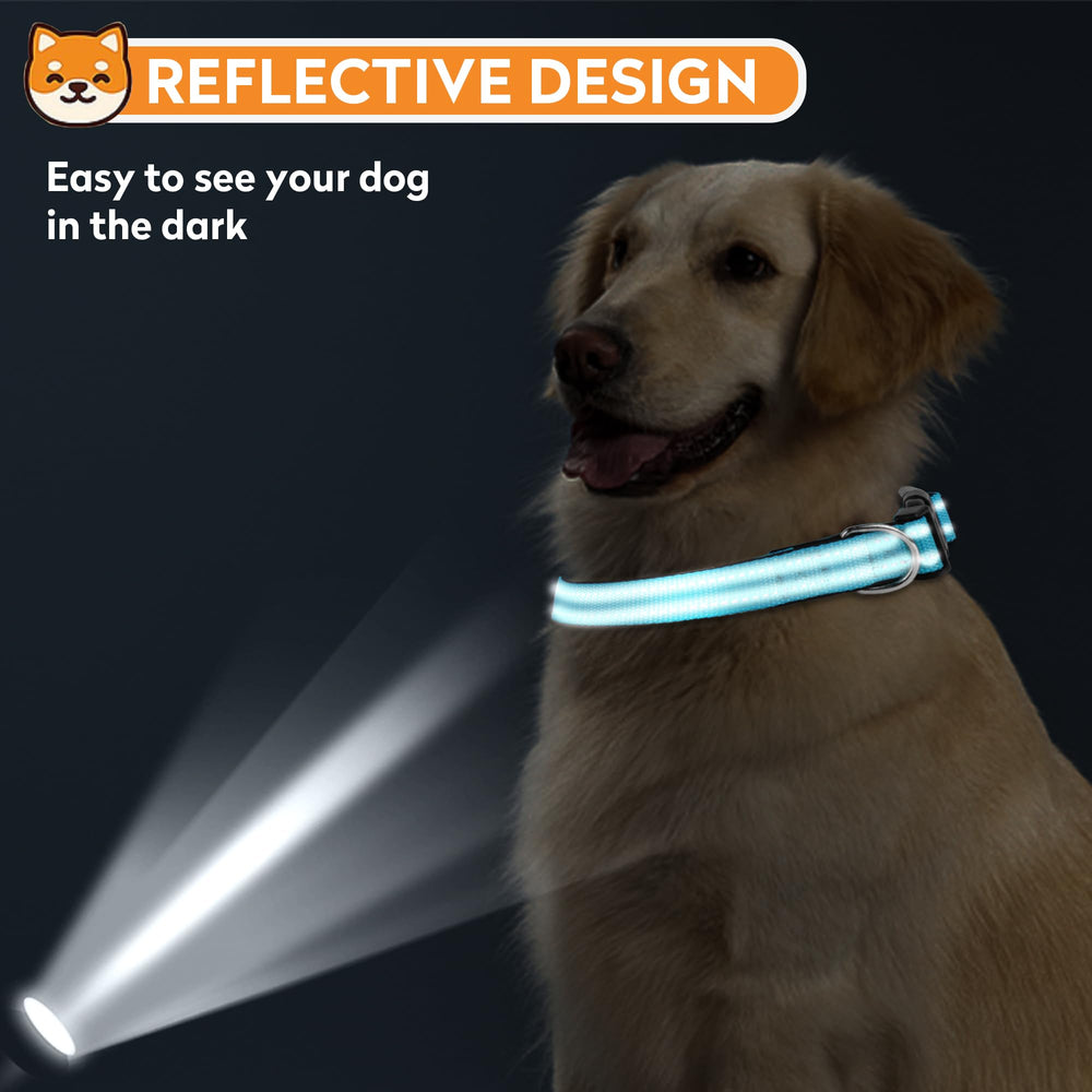 PWOD Reflective Dog Collar night visibility showcases 360° reflectivity for safer evenings.