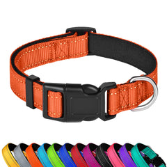 PWOD Reflective Dog Collar at night showing high visibility for safer outdoor adventures.
