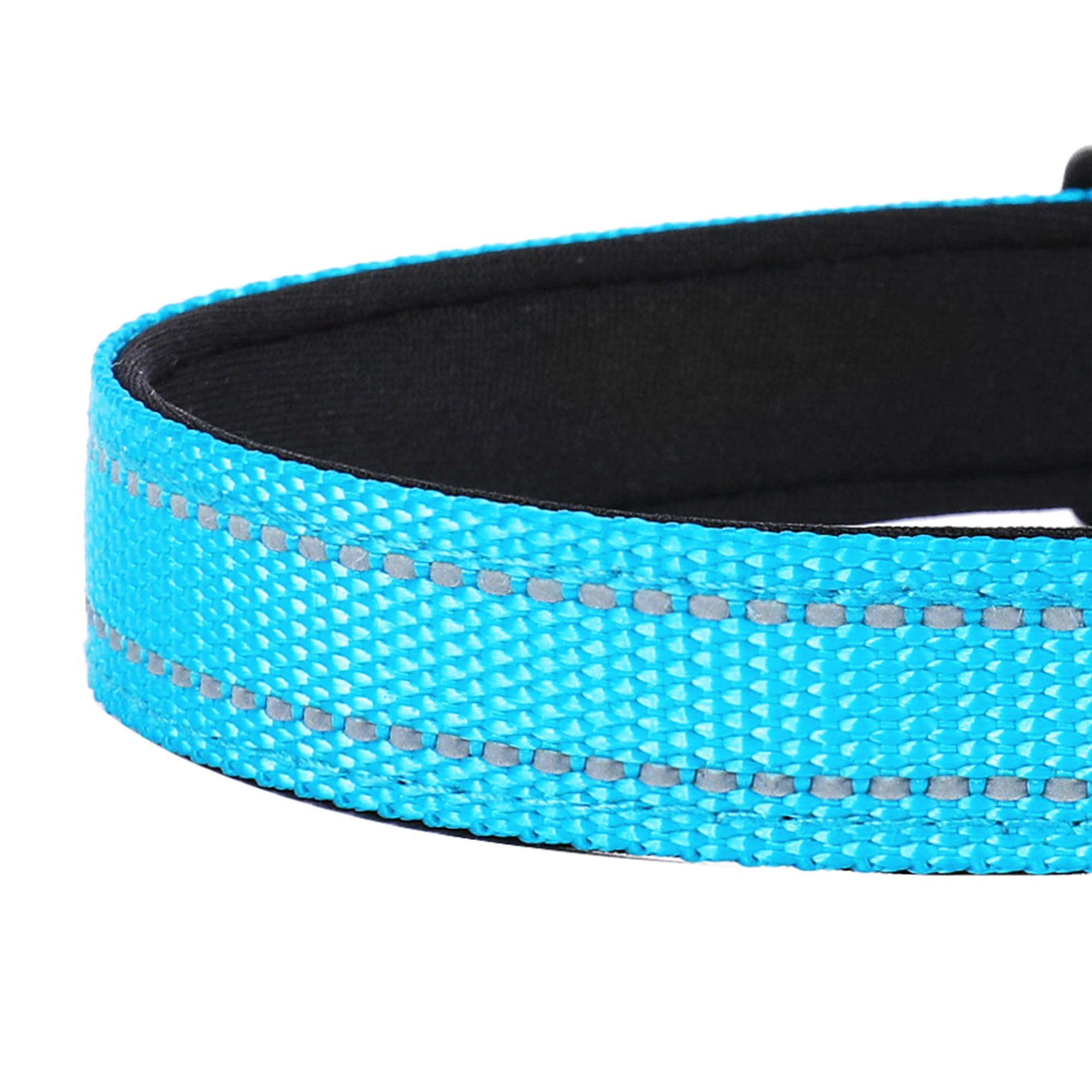 PWOD Reflective Dog Collar nylon webbing detail showing durability and weather-resistance