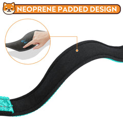 PWOD Reflective Dog Collar teal buckle demonstrates easy on off
