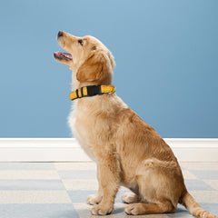 PWOD soft neoprene padded collar yellow close-up demonstrates day-long neck comfort