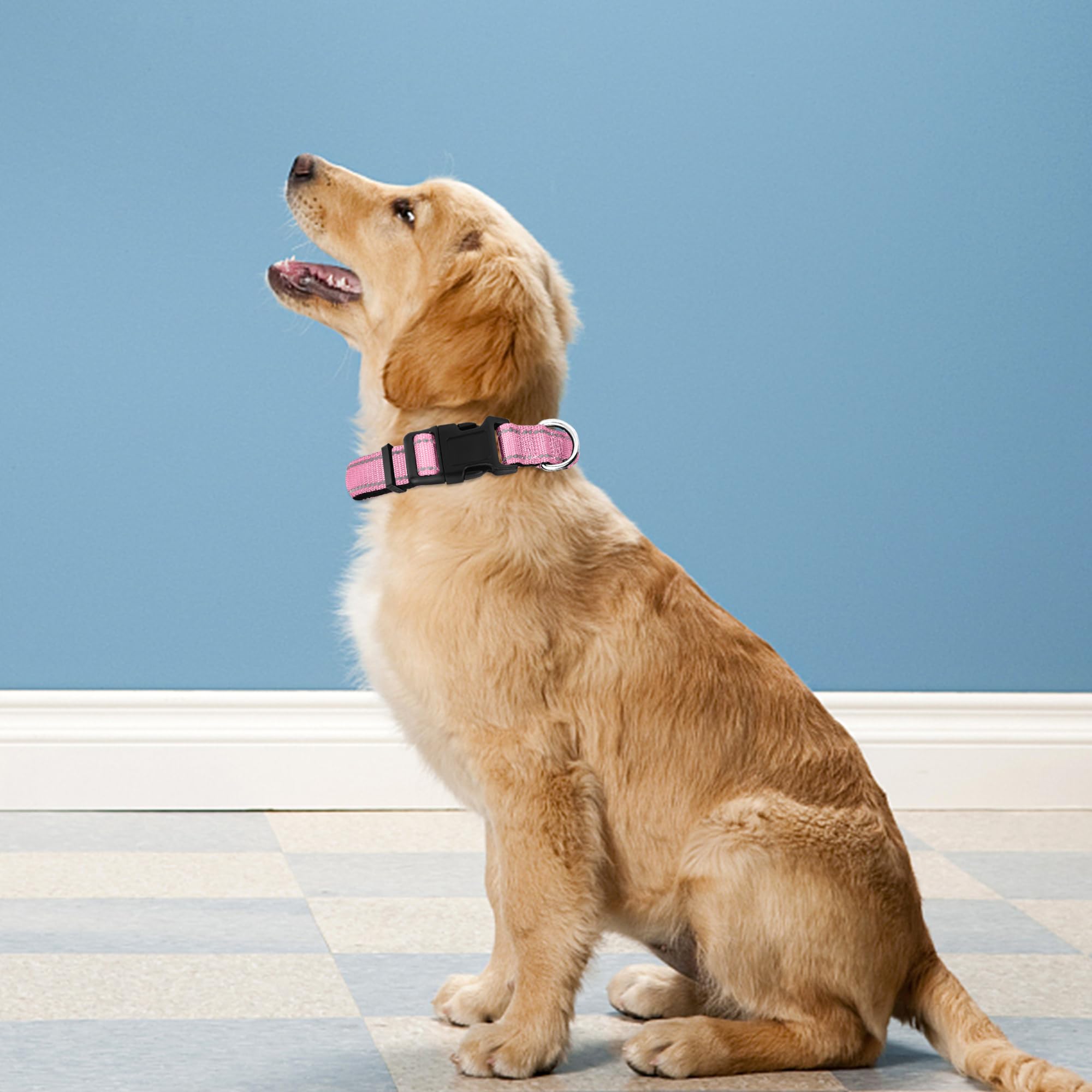 PWOD soft neoprene padded collar offers gentle neck comfort.