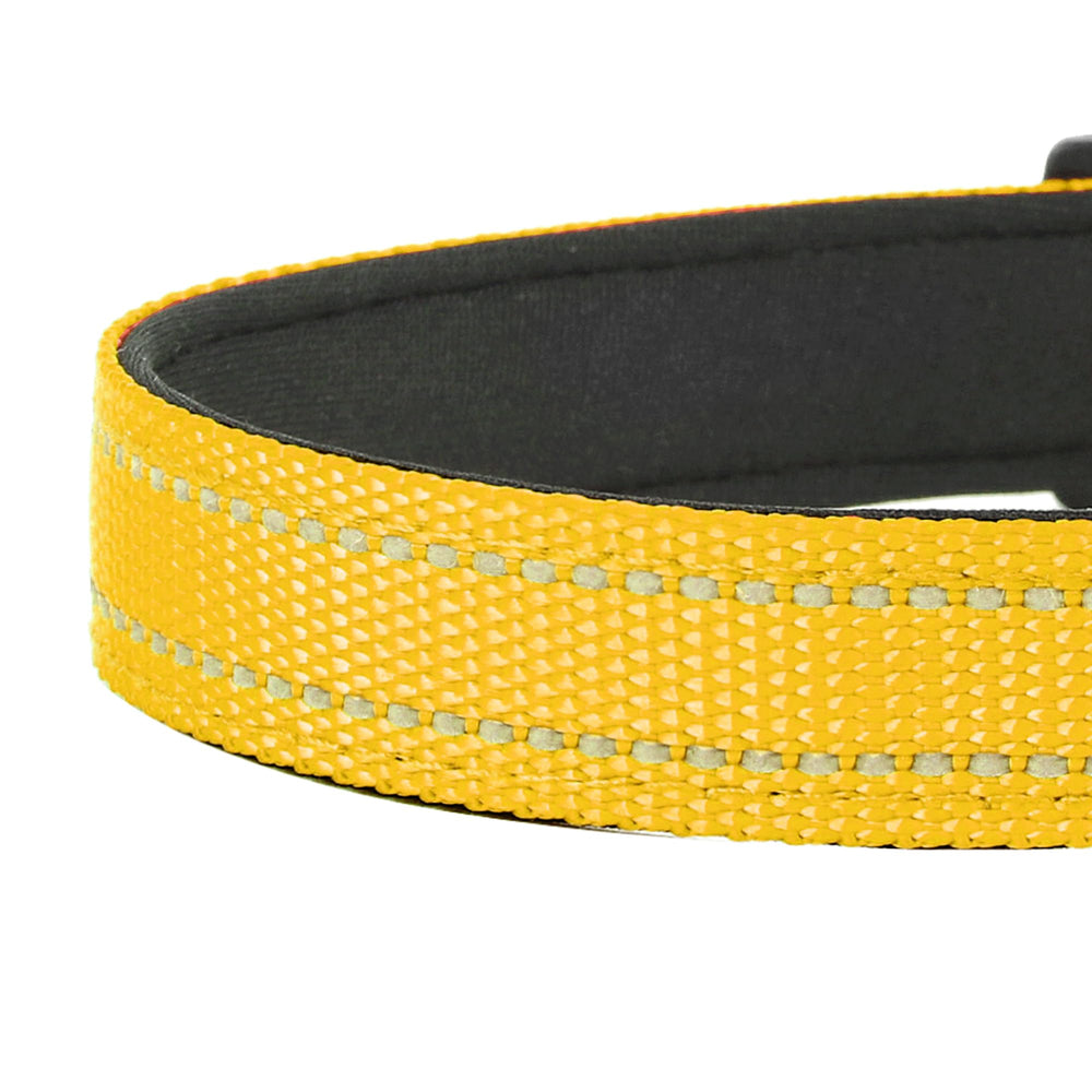 PWOD collar tag loop yellow side view shows convenient tag attachment