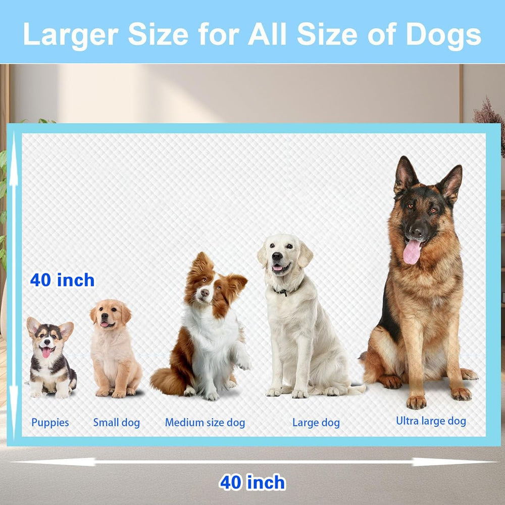 PWQOENFD puppy-pad-40x40-on-floor-with-puppy demonstrates training space