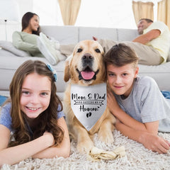 Pwrlveiut dog bandana used as baby announcement photo prop for memorable portraits