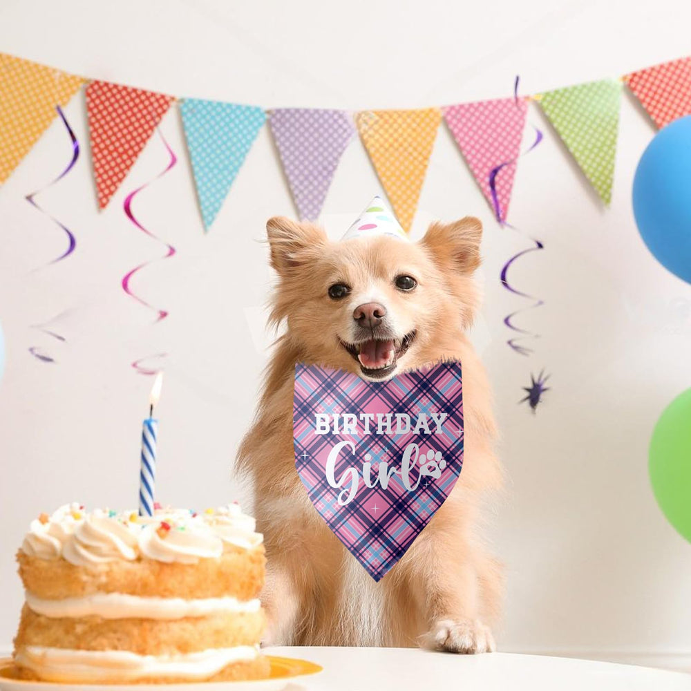 Pwrlveiut adjustable knot bandana ensuring secure, comfortable fit during celebrations