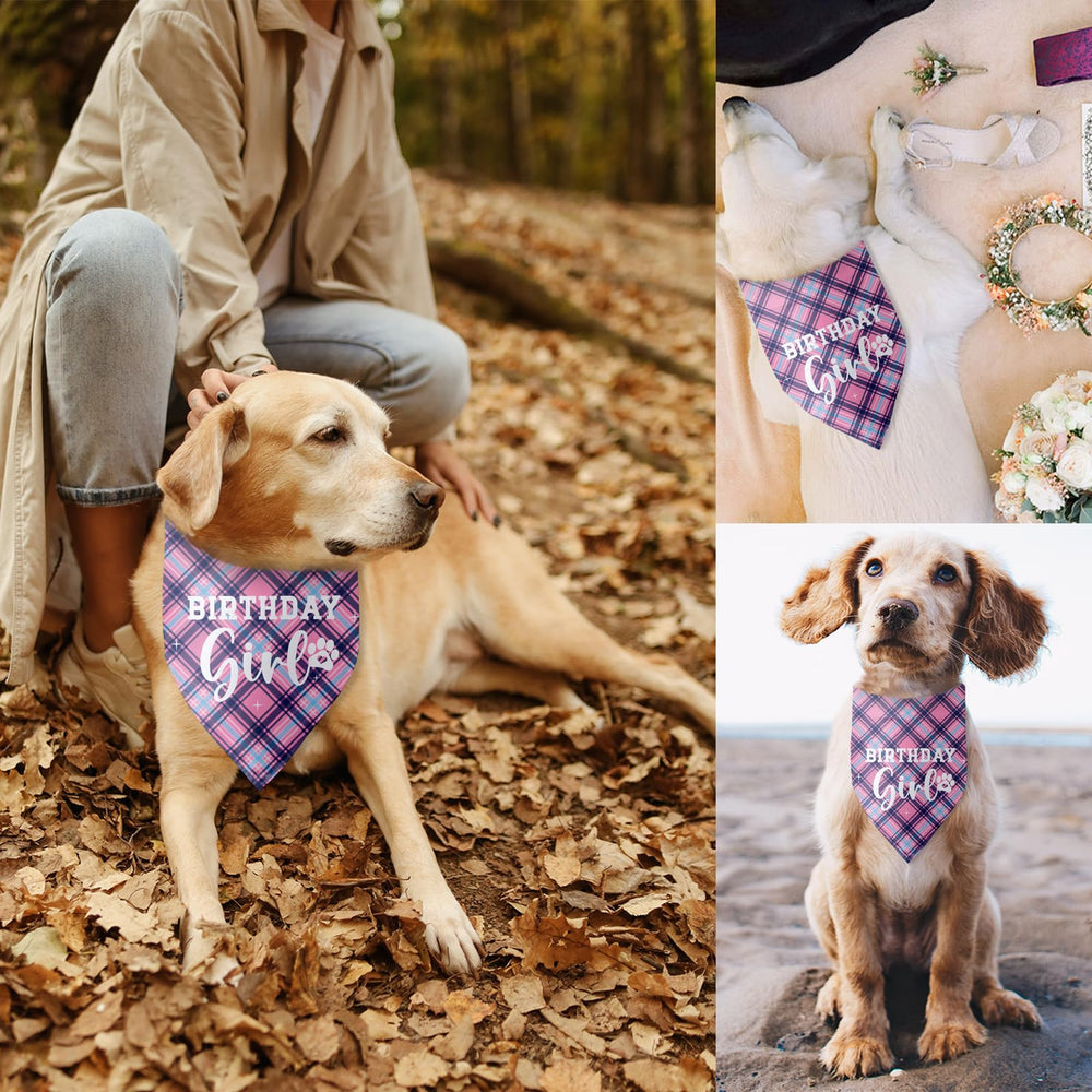 Pwrlveiut dog birthday bandana used as party decor and keepsake