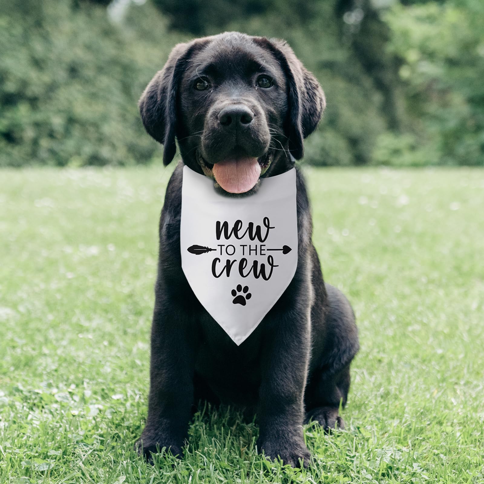 Pwrlveiut pet bandana as cute photoshoot prop and drool protection