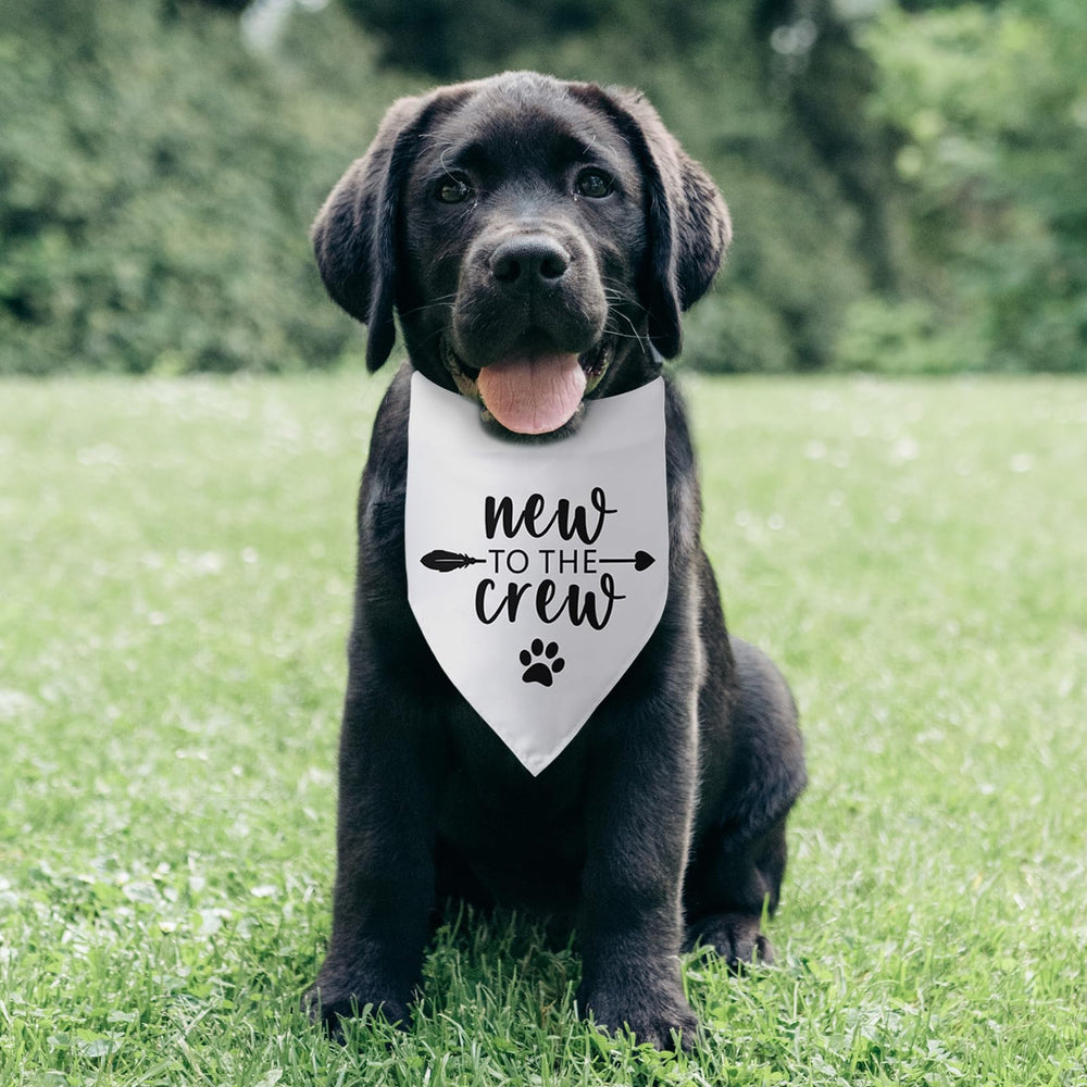 Pwrlveiut pet bandana as cute photoshoot prop and drool protection