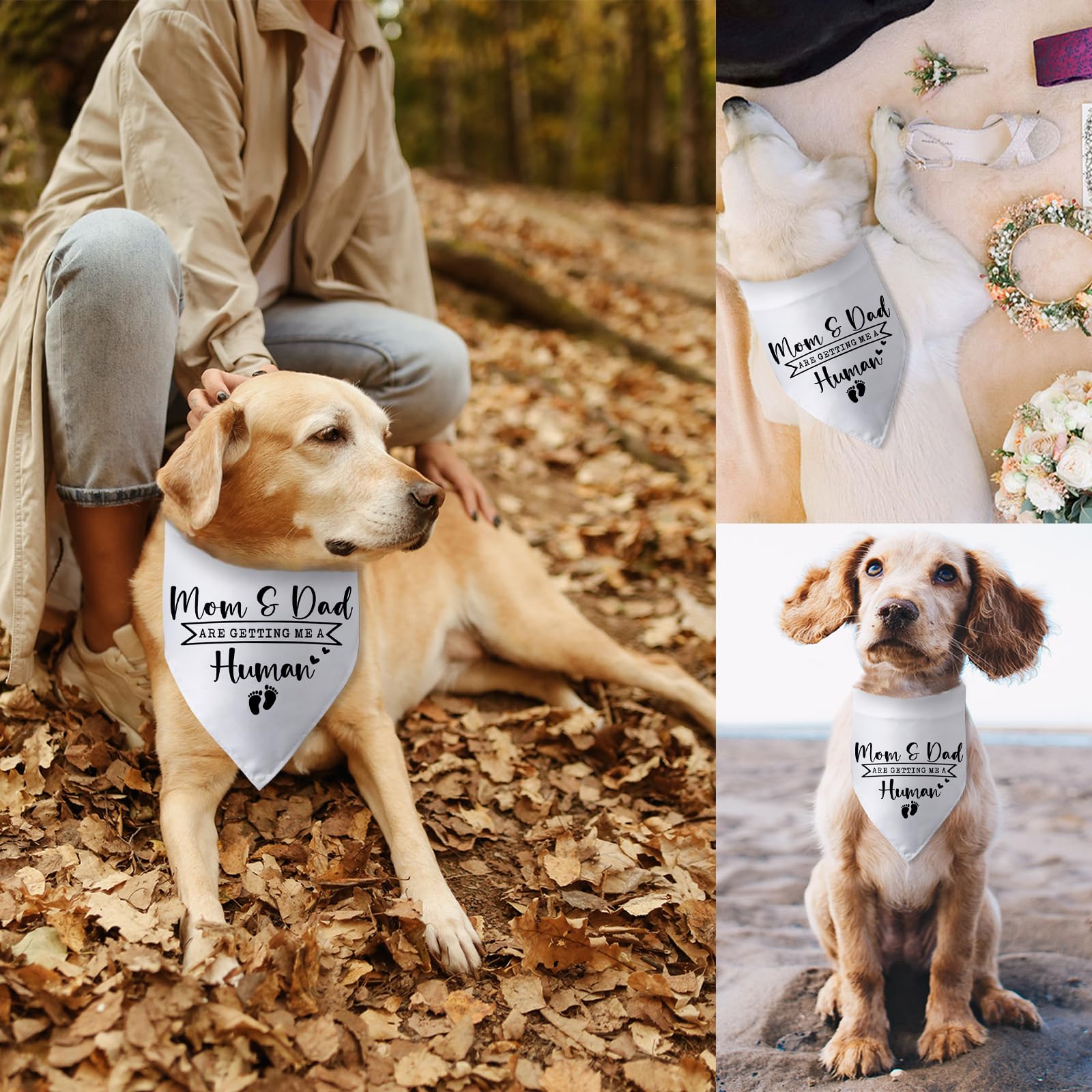 Pwrlveiut versatile design with playful patterns to suit any dog's personality
