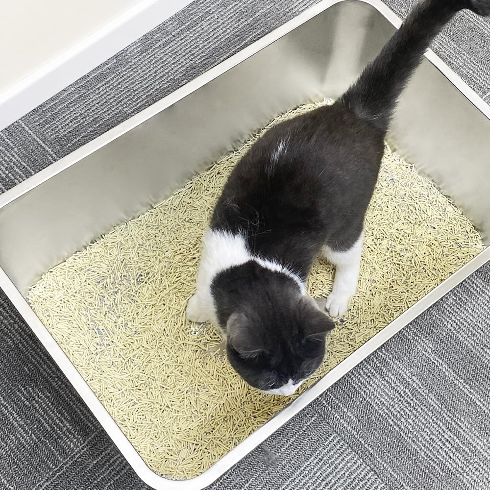 PWTAA durable stainless steel ensures long service life without rust or scratches